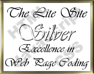 Lite Site Silver Award