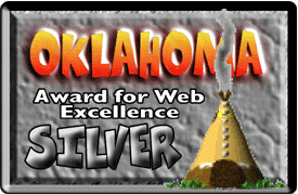 Silver Award for Web Excellence