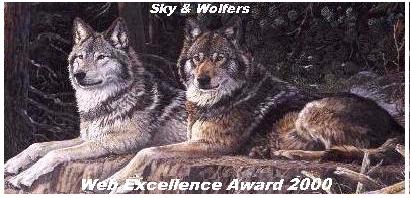 Sky and Wolfer's Web of Excellence 2000