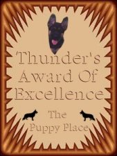 Thunder's Award of Excellence